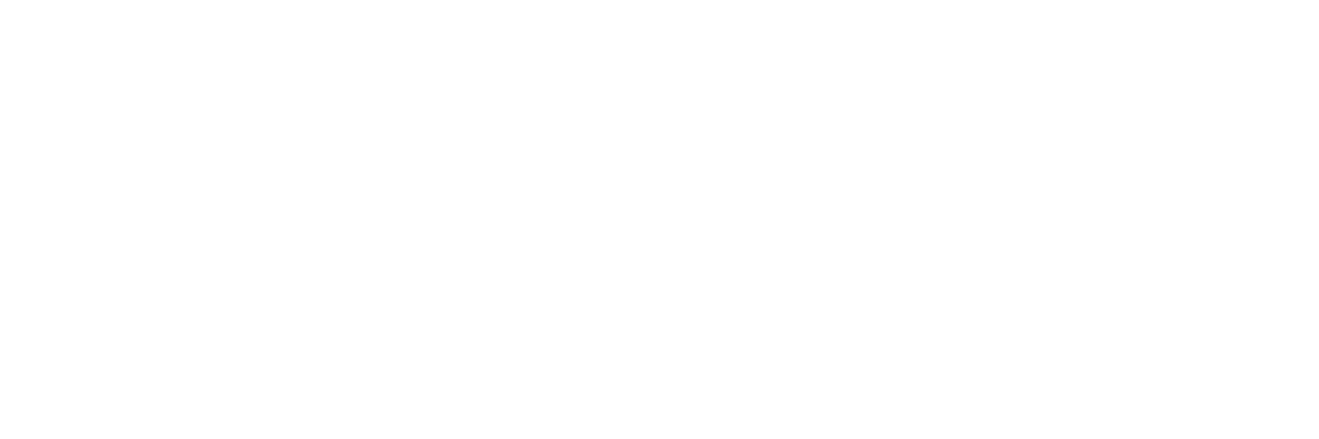 Human Rights Investigations Lab for the Americas
